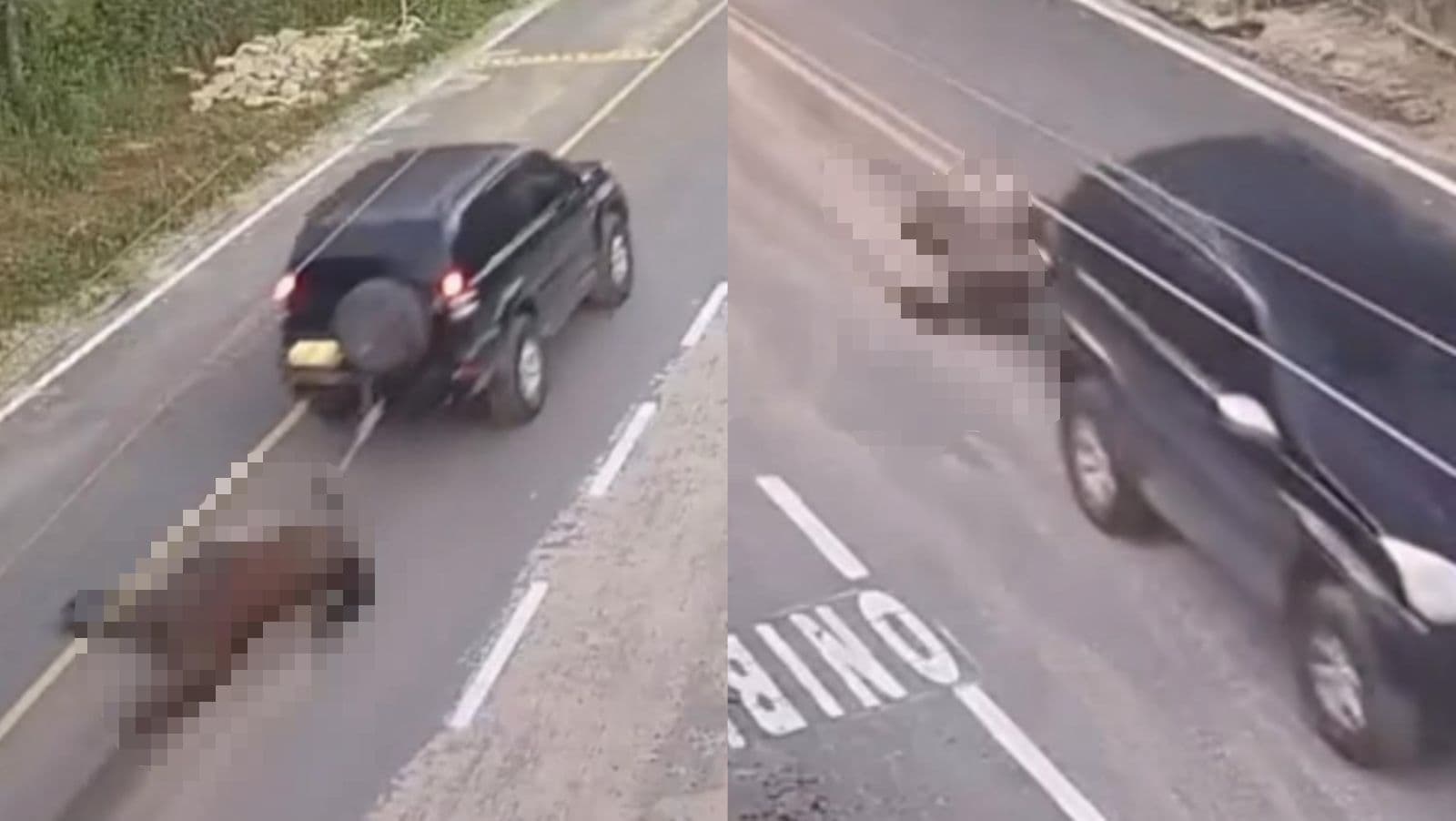 Mistério em SC: carro é flagrado por câmeras arrastando cavalo morto pelas ruas