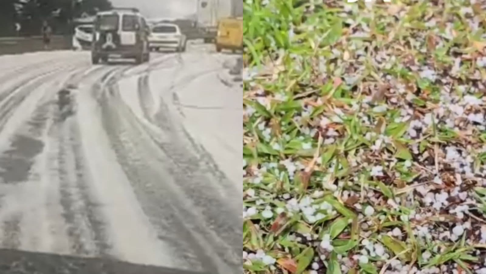 “Tudo branquinho”: dias após nevar em São Joaquim, cidade volta a ficar tomada por gelo