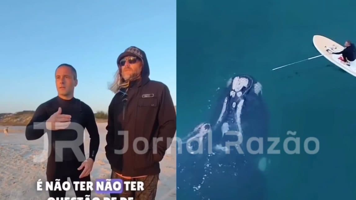 Homem que resgatou baleia em SC rompe o silêncio e defende Ibama: “Não houve negligência”