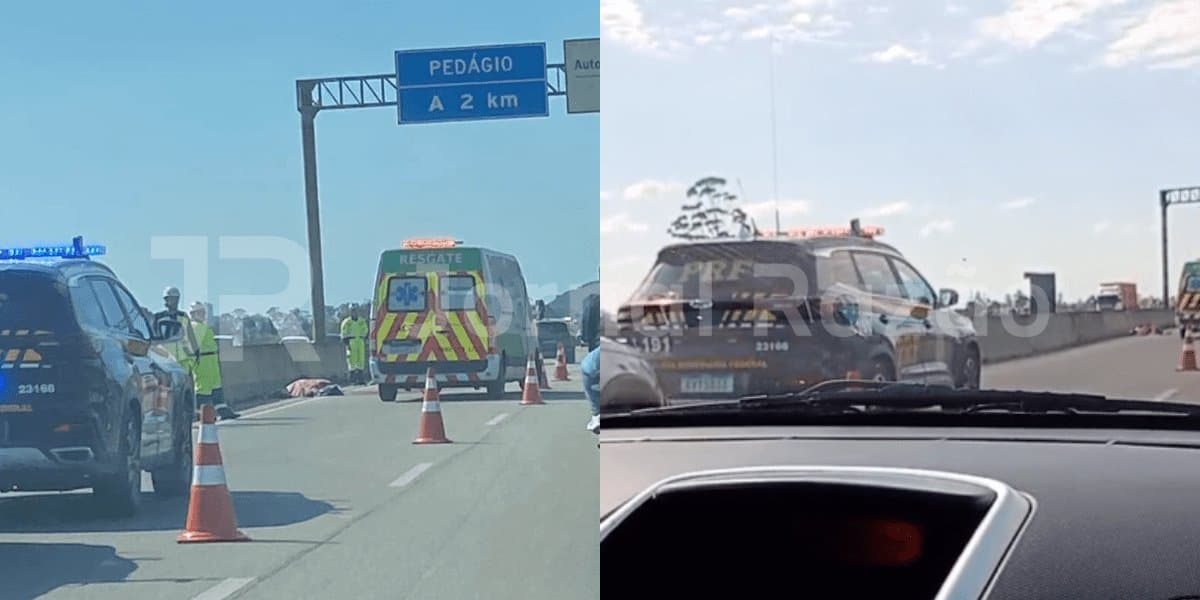 Morador de rua se joga na BR-101 e morre atropelado entre Tijucas e Porto Belo