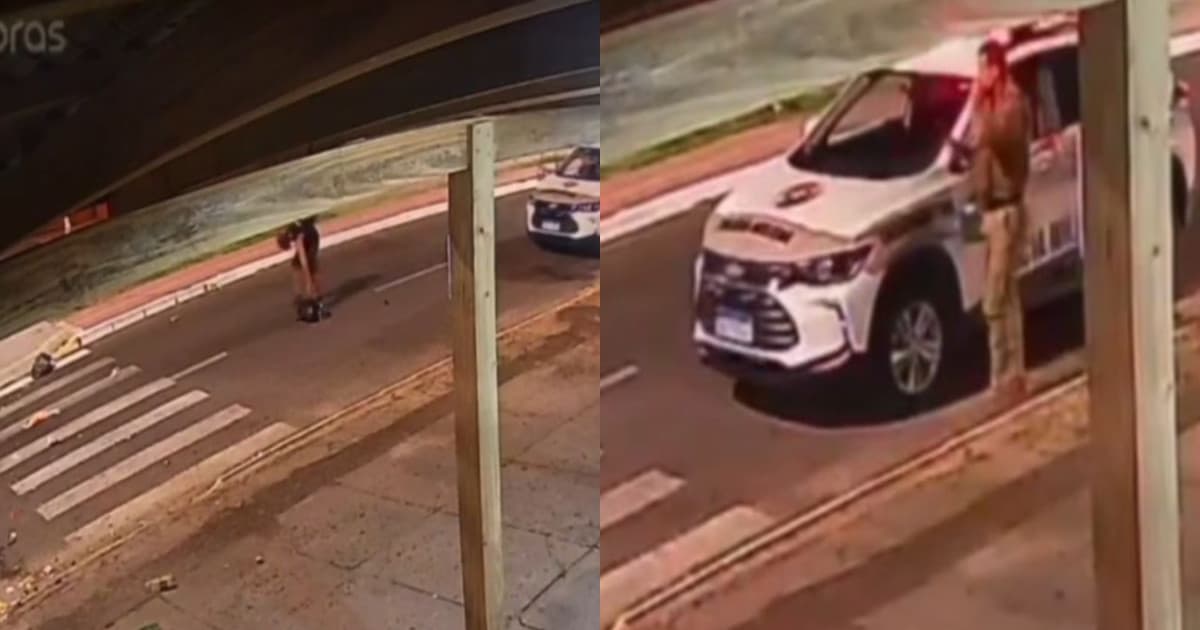Porcão é pego no flagra pela PMSC: “volta e junta todo o lixo!”