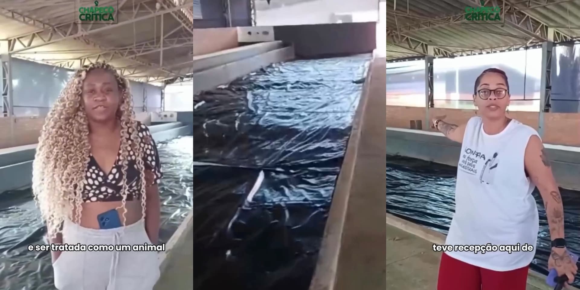 Catarinenses são colocadas em baias de cavalos na “Marcha das Mulheres Negras” em Brasília