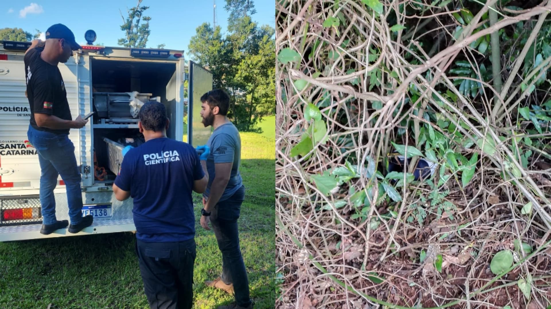 Adolescente de 15 anos desaparecido é encontrado morto em área de mata em SC