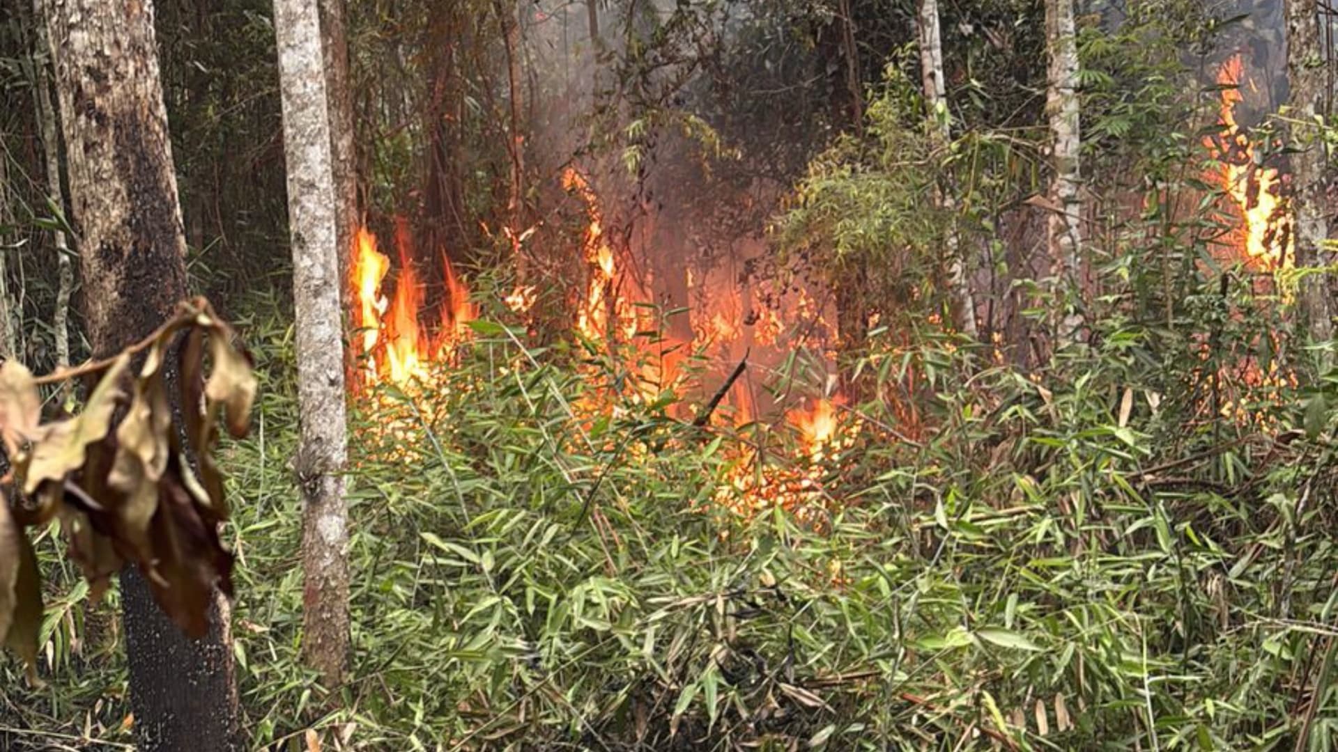 Incêndio de grandes proporções consome 10 mil m² em morro de difícil acesso em Camboriú