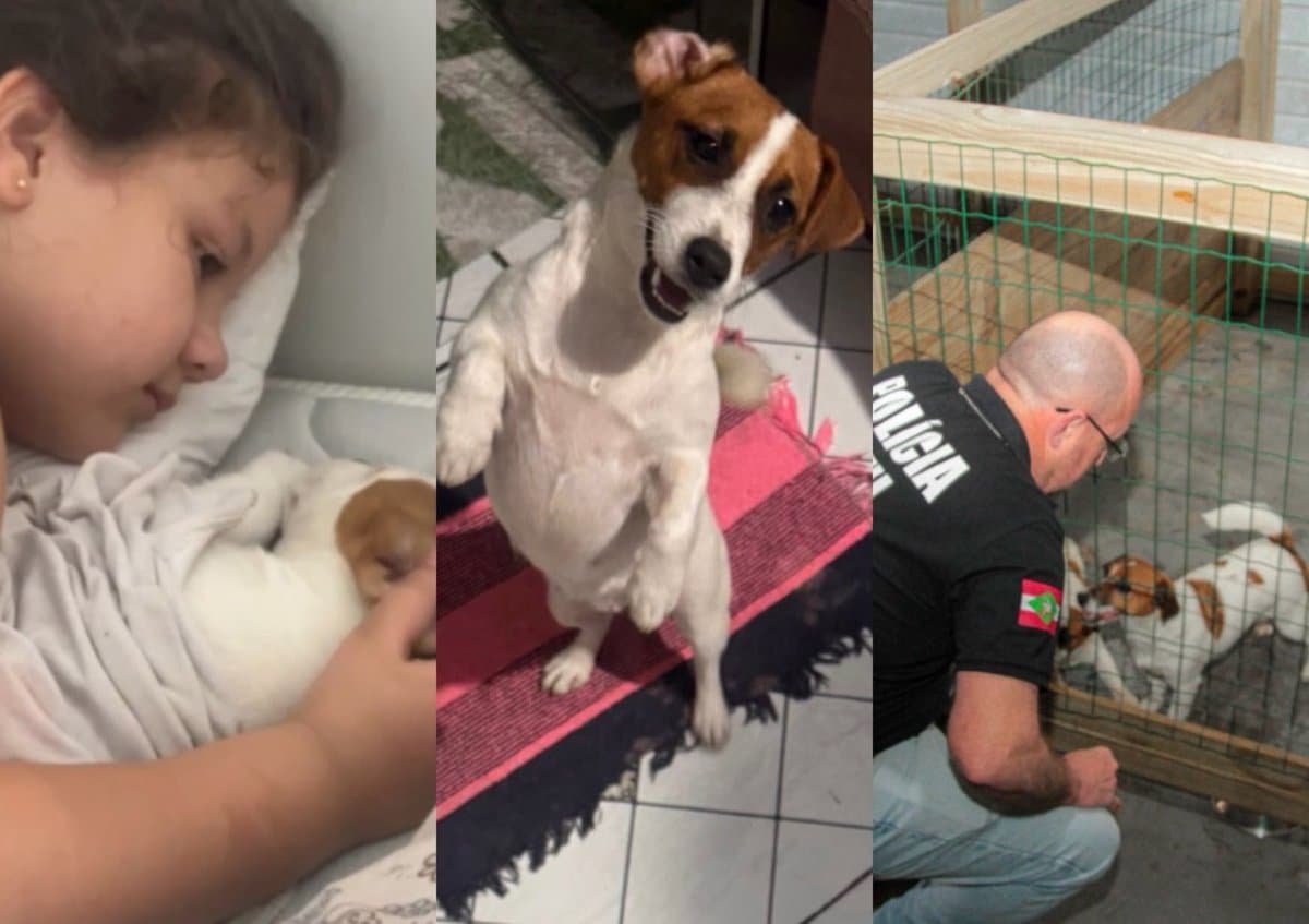 Criança chora ao saber que justiça mandou devolver cachorro a criador indiciado por maus-tratos em SC