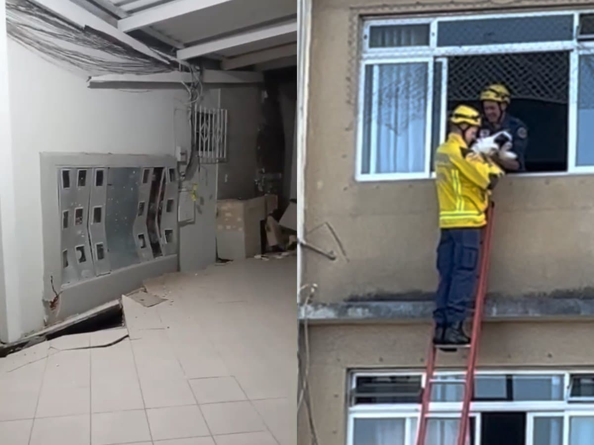Bombeiros salvam cachorrinha que passou a noite presa em prédio com risco de desabamento em SC