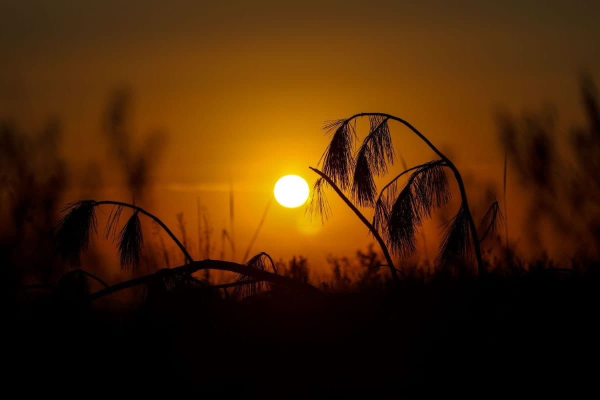 Páscoa de sol e calor em SC: veja como fica o tempo em cada região do feriado
