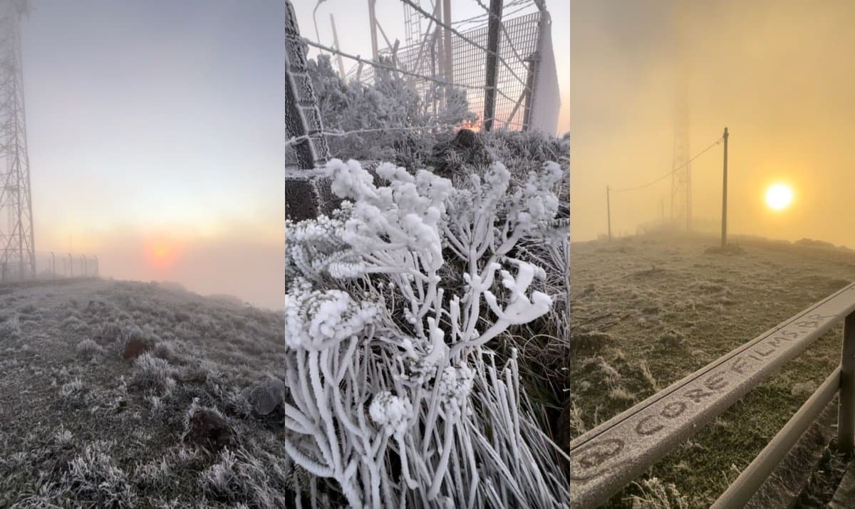 “Congelou tudo”: massa de ar polar invade o Brasil e SC registra -3,1°C