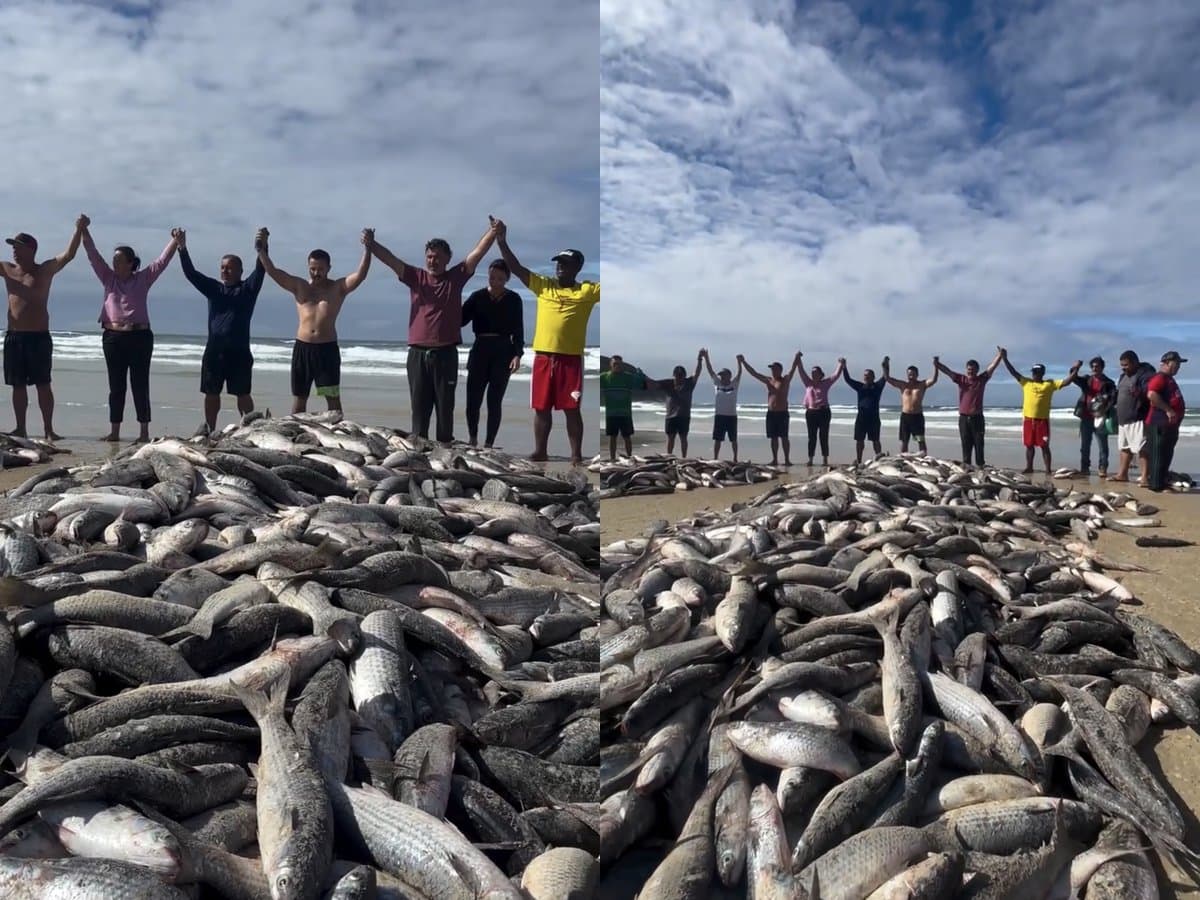 Em agradecimento à fartura na safra de tainha, pescadores de Florianópolis fazem oração de mãos dadas