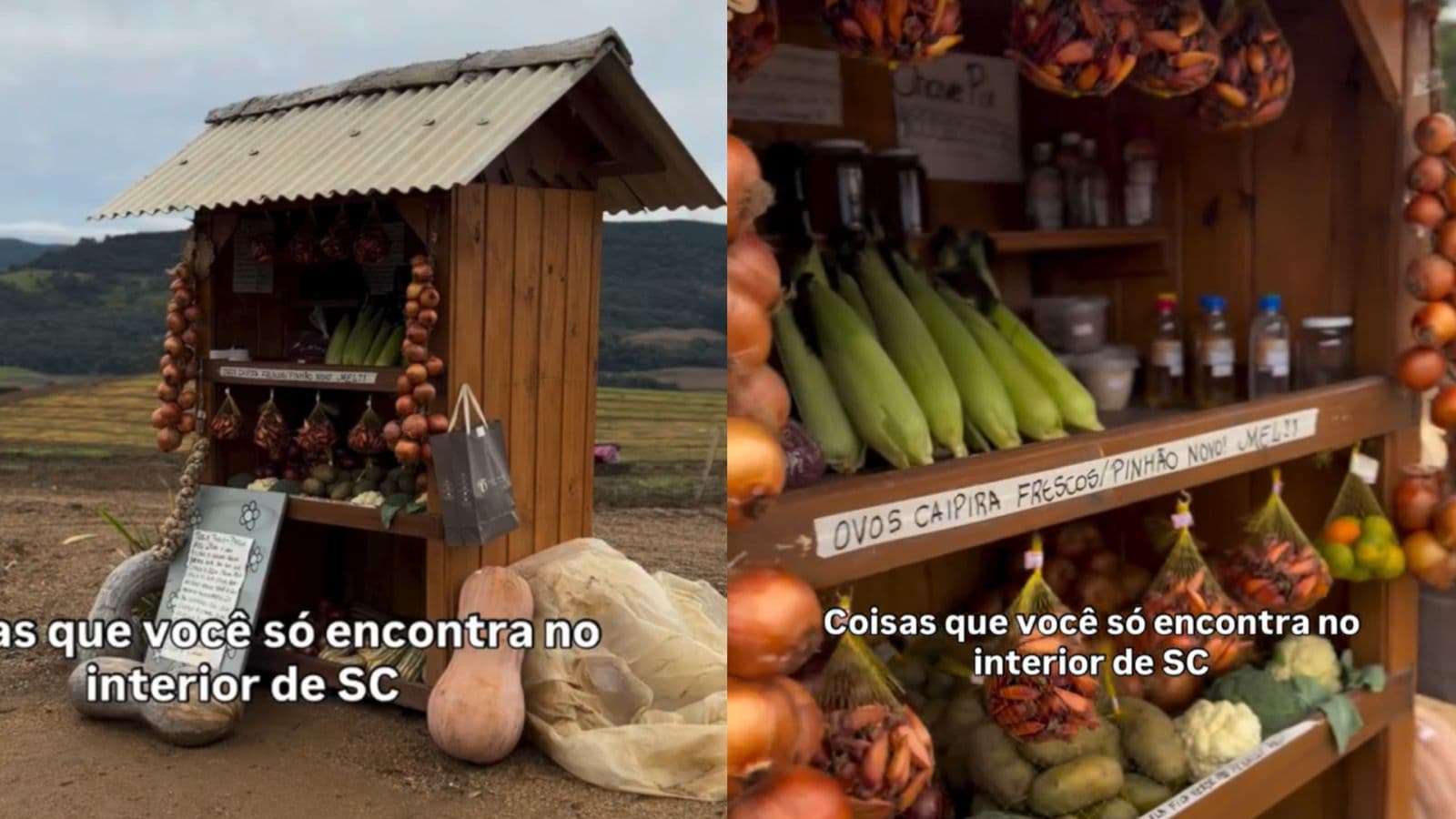 “Confiamos na sua honestidade”: banquinha de produtos sem funcionário viraliza na Serra Catarinense