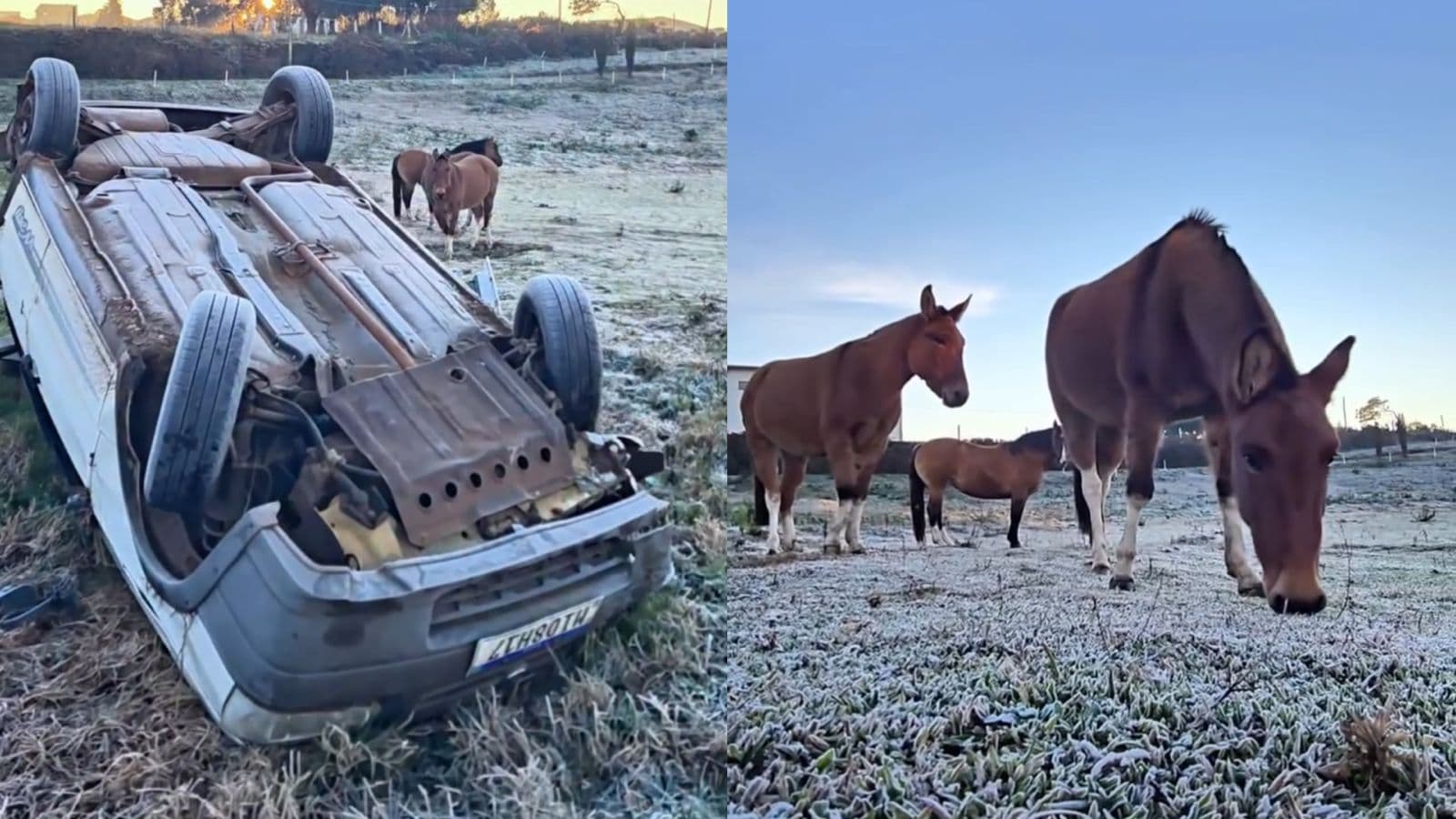 “Tombou de frio”: carro amanhece capotado em pasto e vira parte de cenário congelante na Serra catarinense