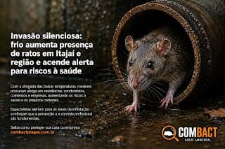 Invasão silenciosa: frio aumenta presença de ratos em Itajaí e região e acende alerta para riscos à saúde
