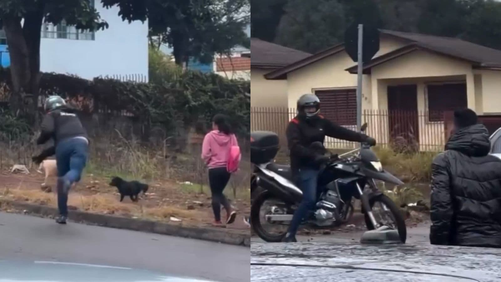 “Eles me avançam”: morador parte pra cima de motoqueiro que apedrejou cachorro em Chapecó