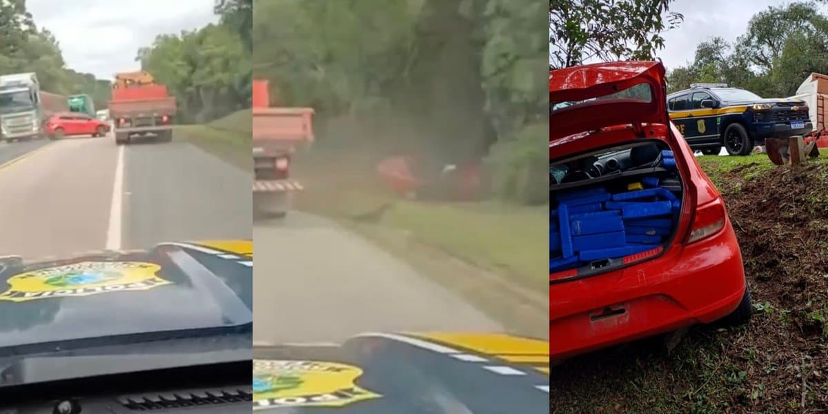 Traficante com quase 200 quilos de maconha foge da PRF e termina “abraçado em árvore” em SC