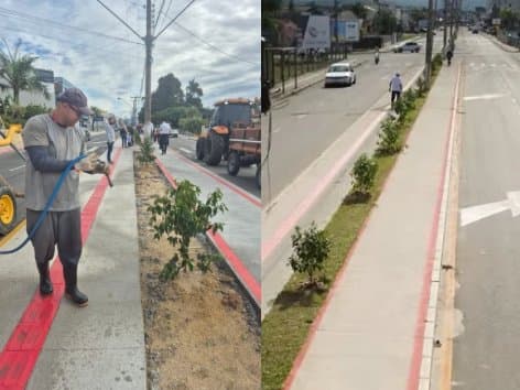 Com alerta para eventos extremos em Santa Catarina, Tijucas reforça ações de prevenção e arborização
