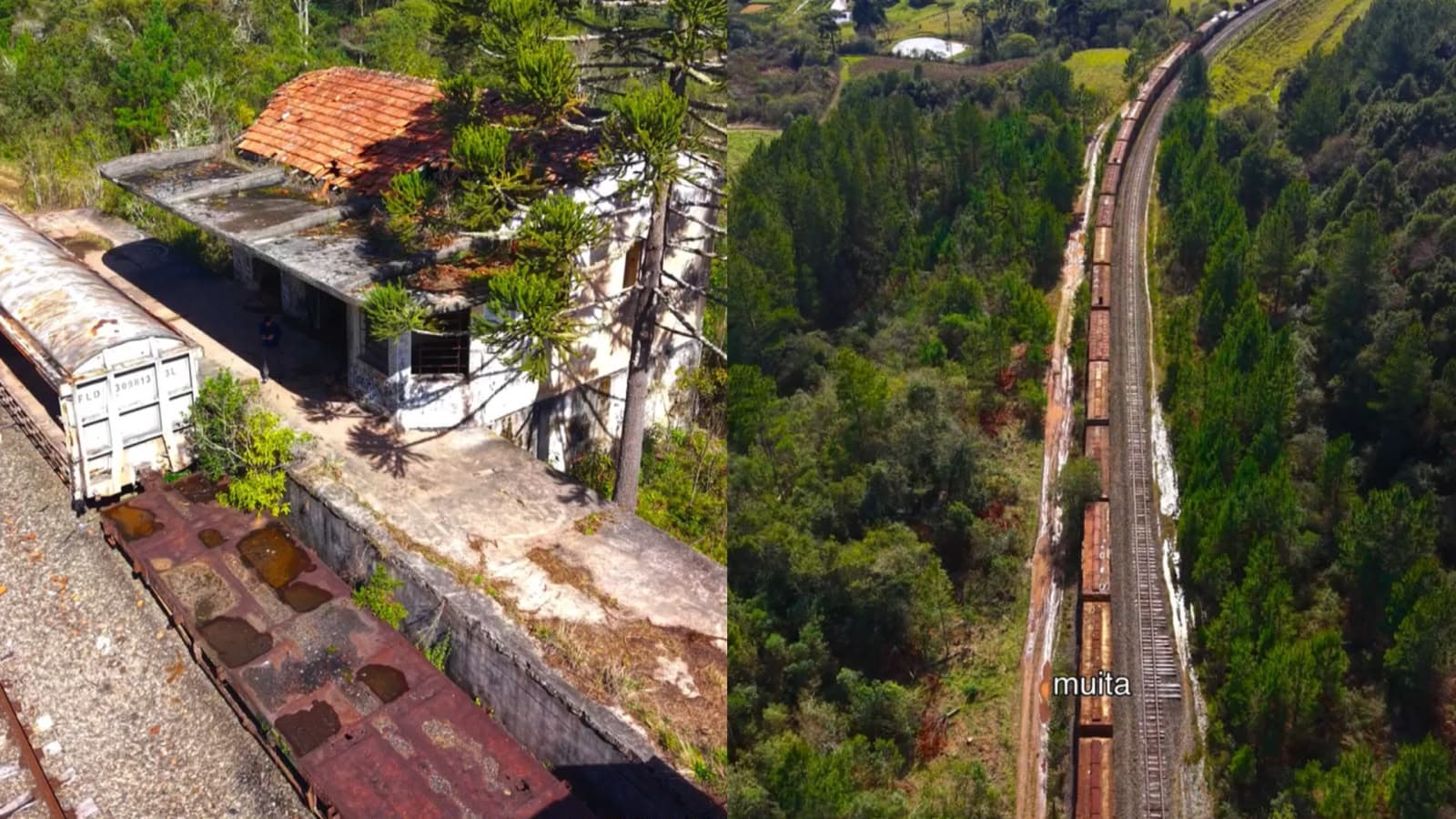 Você sabia que Santa Catarina tem um “cemitério de vagões” escondido numa estação parada no tempo