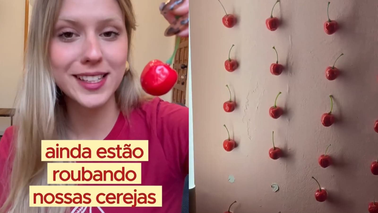 “Ainda estão roubando nossas cerejas”: dona de bar em Floripa viraliza com desabafo sobre furto da decoração