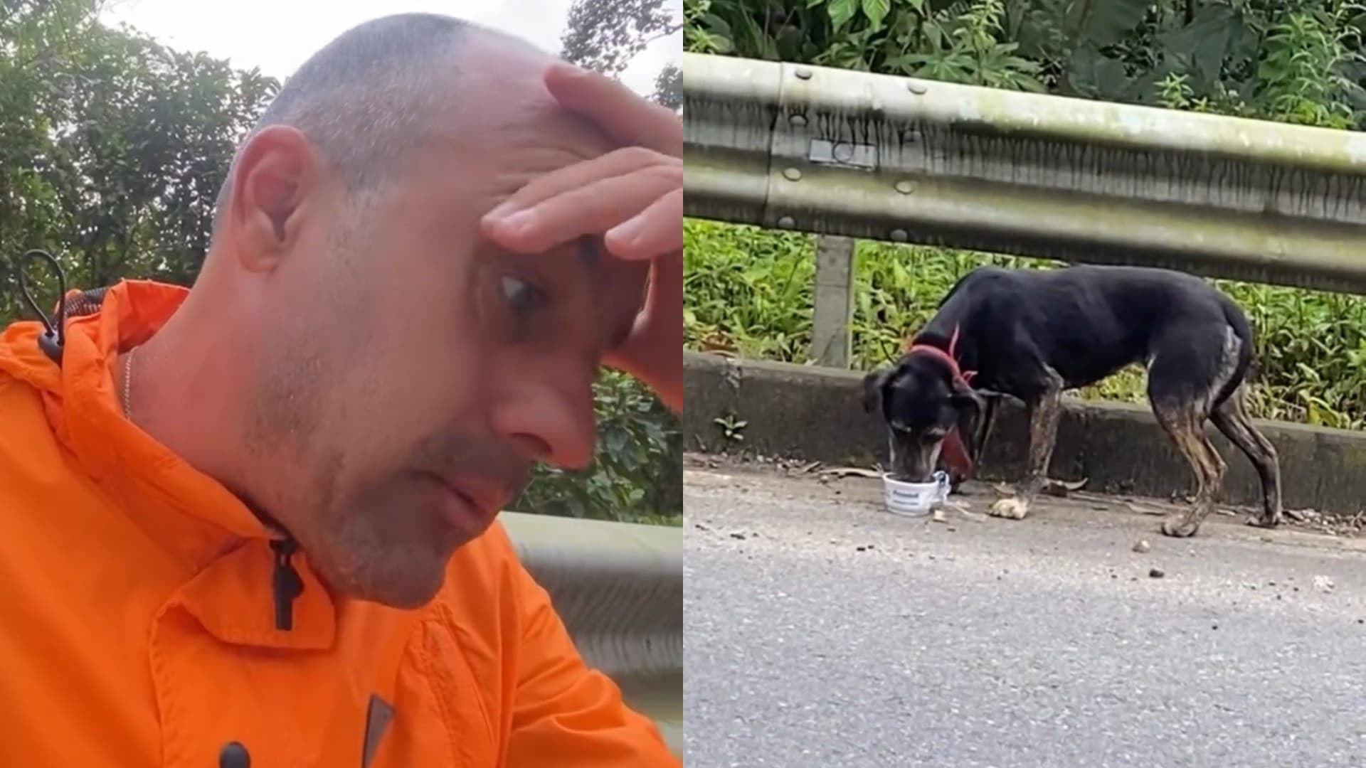 Entregador em Jaraguá do Sul ao lado de cachorro faminto abandonado na subida do Rio Molha