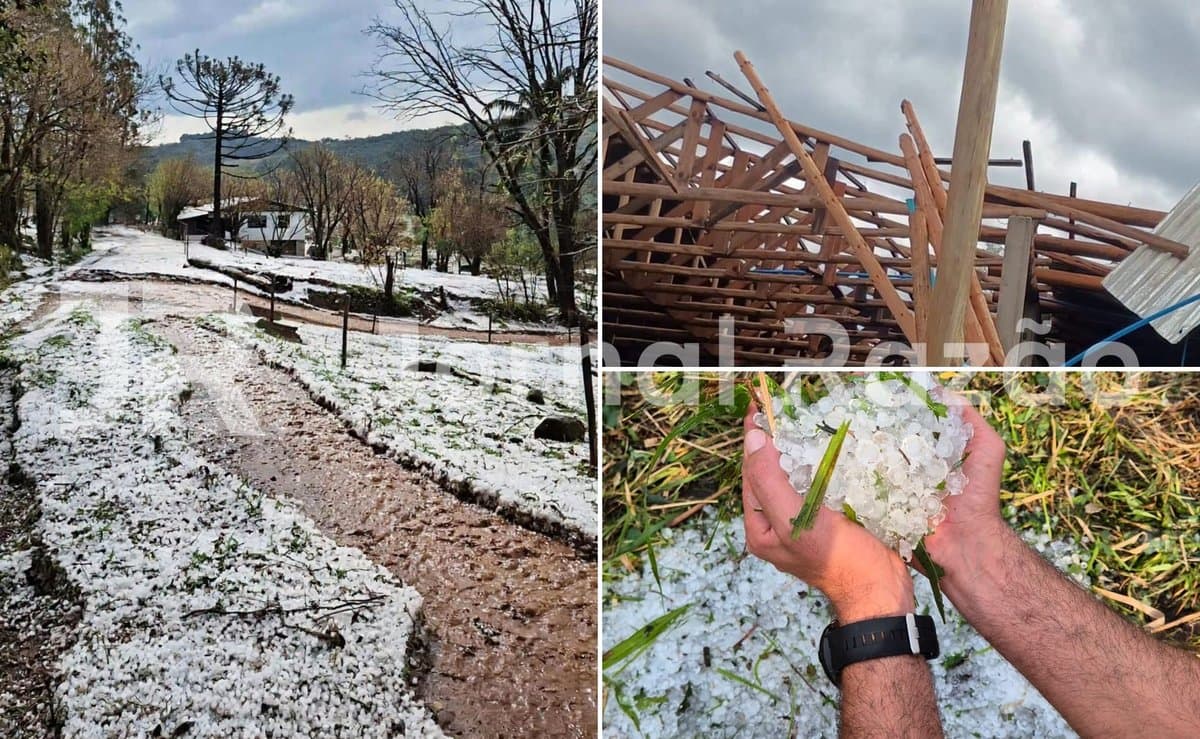 Granizo cobre o chão de branco e vento arranca árvores em três cidades do Oeste de SC