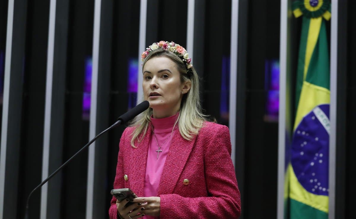 ‘Tenho respaldo do povo catarinense’, diz Júlia Zanatta após passar de 550 mil votos